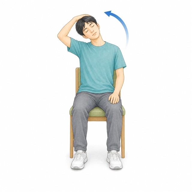 首のストレッチ説明資料に使える頸部側屈のイラスト