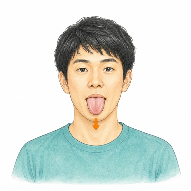 ST向け口腔体操資料に使える舌運動イラスト